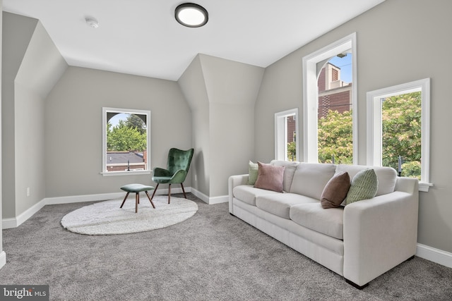 30 Race Ave, Lancaster, PA 17603 - living room with carpet and lofted ceiling