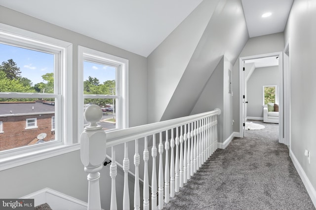30 Race Ave, Lancaster, PA 17603 - hallway with carpet and lofted ceiling