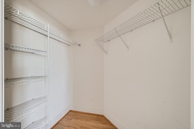 414 Water St Unit 2814, Baltimore, MD 21202 - walk in closet with light wood-type flooring