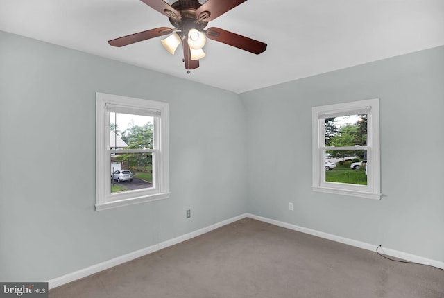 1233 E Ave, Abington, PA 19001 - carpeted empty room with healthy amount of natural light and ceiling fan