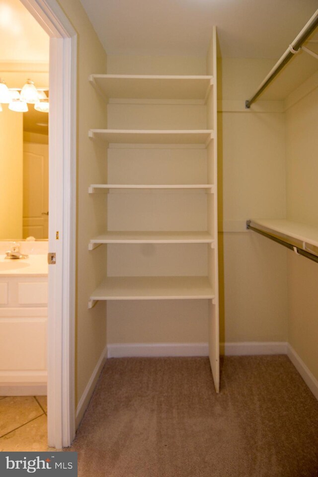 901 N Monroe St Unit 308, Arlington, VA 22201 - spacious closet with light carpet