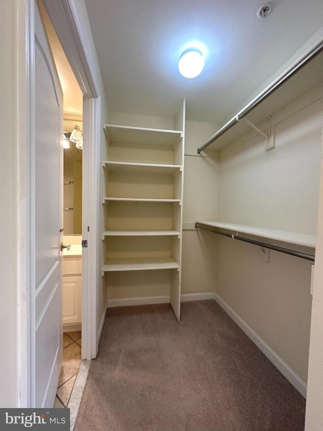 901 N Monroe St Unit 308, Arlington, VA 22201 - walk in closet featuring light carpet