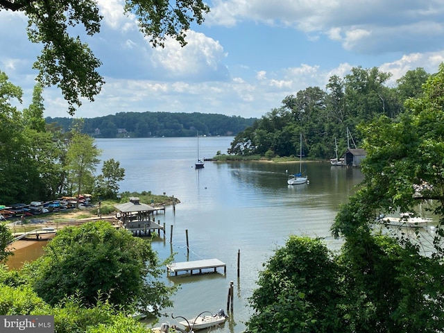 1490 Grandview Ct, Arnold, MD 21012 - water view with a heavily wooded area and a boat dock