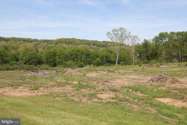 Myrtle Lot 1, Reynoldsville, PA 15851