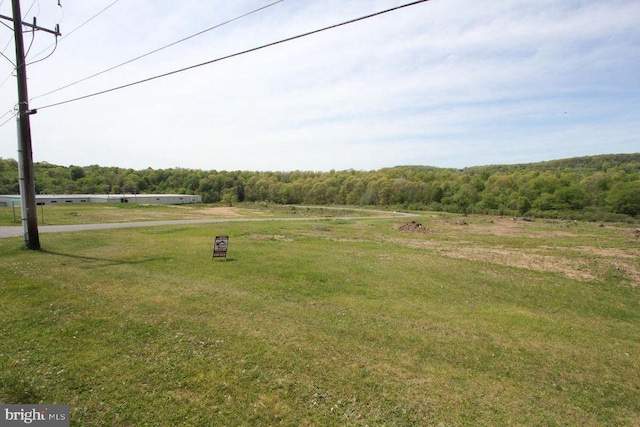 Myrtle Lot 1, Reynoldsville, PA 15851