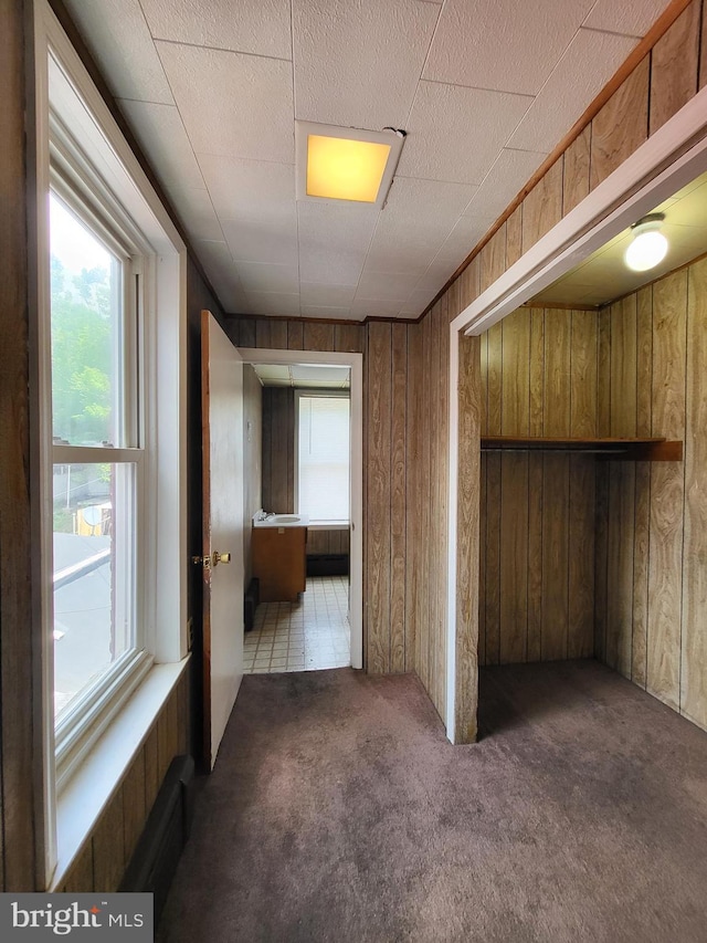 329 N 13th St, Reading, PA 19604 - unfurnished bedroom with carpet floors, multiple windows, wooden walls, and a closet