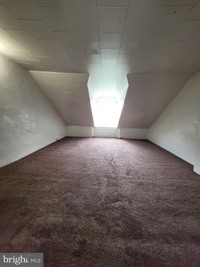 329 N 13th St, Reading, PA 19604 - additional living space featuring carpet flooring and vaulted ceiling