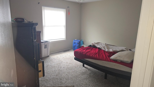2622 Cranberry Cir, Harrisburg, PA 17110 - bedroom with carpet flooring and baseboards