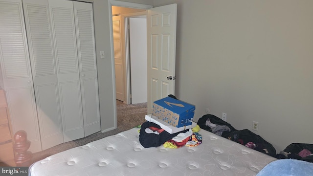2622 Cranberry Cir, Harrisburg, PA 17110 - bedroom with carpet floors and a closet