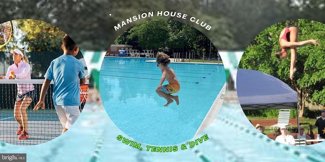 9210 Cherrytree Dr, Alexandria, VA 22309 - view of community pool