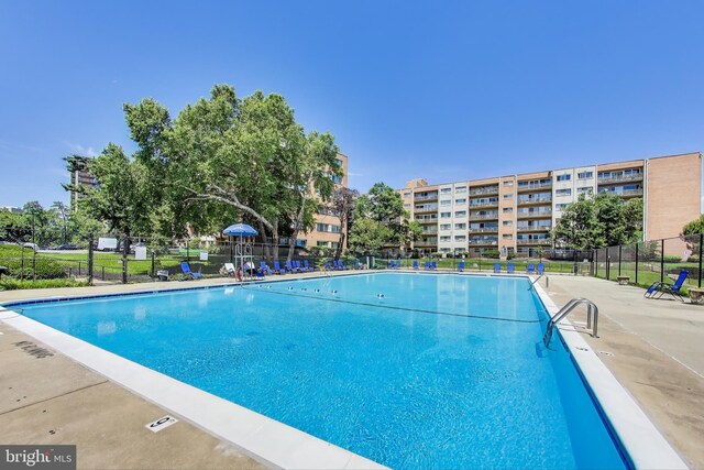 5851 Quantrell Ave Unit 407, Alexandria, VA 22312 - view of community pool