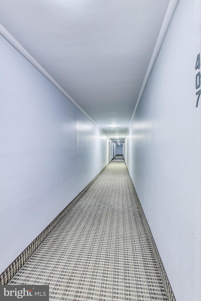 5851 Quantrell Ave Unit 407, Alexandria, VA 22312 - view of corridor
