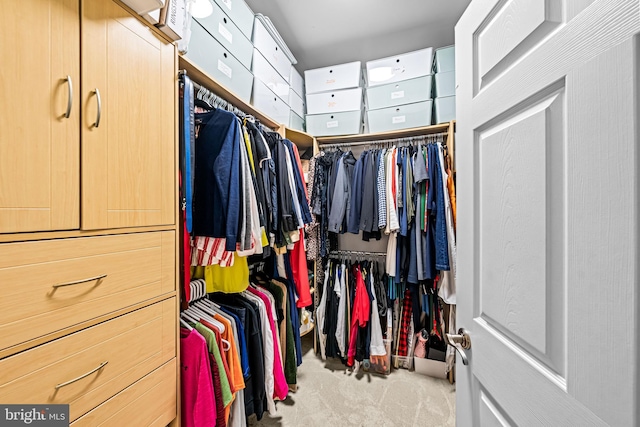 605 N Atlantic Ave Unit 104, Collingswood, NJ 08108 - spacious closet featuring carpet flooring