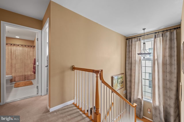 236 Cambridge Pl, Chalfont, PA 18914 - stairs with baseboards and carpet