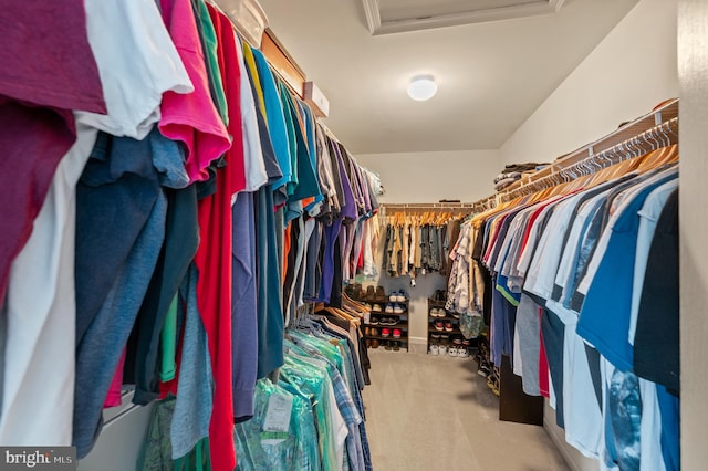 236 Cambridge Pl, Chalfont, PA 18914 - walk in closet featuring attic access and carpet