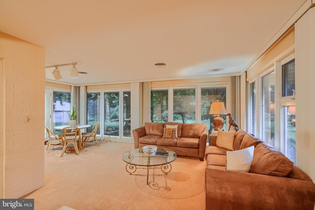7900 Ivy Ln, Baltimore, MD 21208 - living area with carpet floors, rail lighting, and healthy amount of natural light
