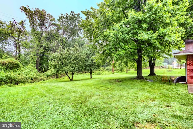 7900 Ivy Ln, Baltimore, MD 21208 - view of green lawn