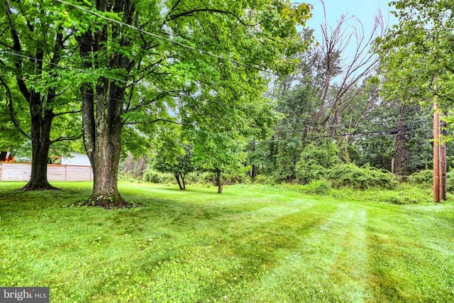 7900 Ivy Ln, Baltimore, MD 21208 - view of green lawn