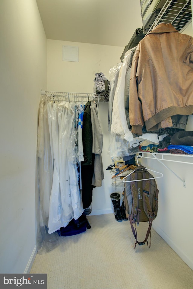13764 Earhart Cir, Herndon, VA 20171 - spacious closet featuring carpet floors