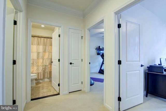 13764 Earhart Cir, Herndon, VA 20171 - hall with carpet floors and ornamental molding