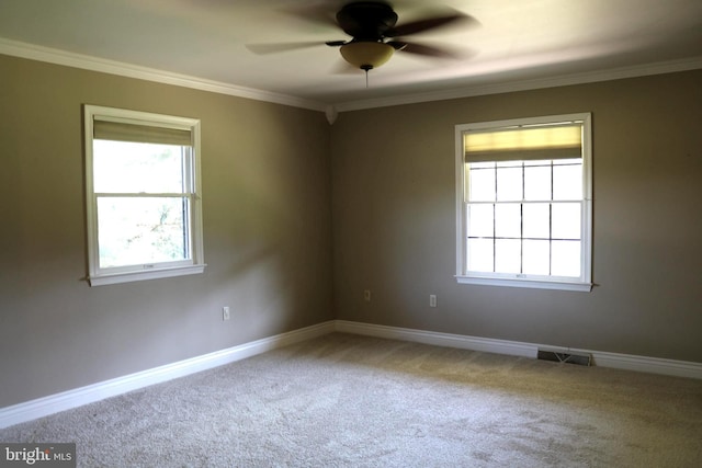 6535 Dumeny Rd, Greencastle, PA 17225 - unfurnished room with carpet, ceiling fan, and ornamental molding