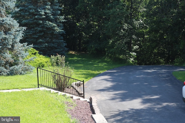 6535 Dumeny Rd, Greencastle, PA 17225 - view of asphalt road with a forest view