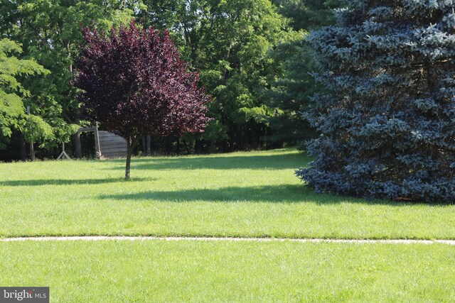 6535 Dumeny Rd, Greencastle, PA 17225 - view of property's community featuring a lawn