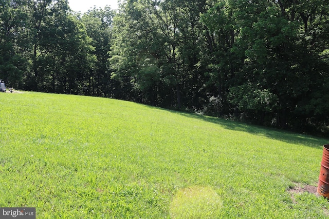 6535 Dumeny Rd, Greencastle, PA 17225 - view of green lawn