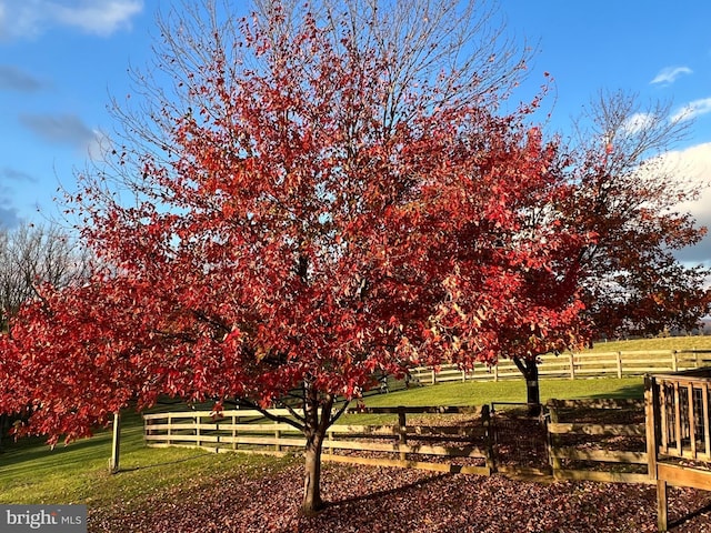 6535 Dumeny Rd, Greencastle, PA 17225 - view of yard featuring a view of rural / pastoral area
