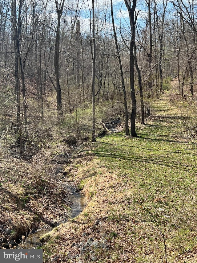 6535 Dumeny Rd, Greencastle, PA 17225 - view of nature