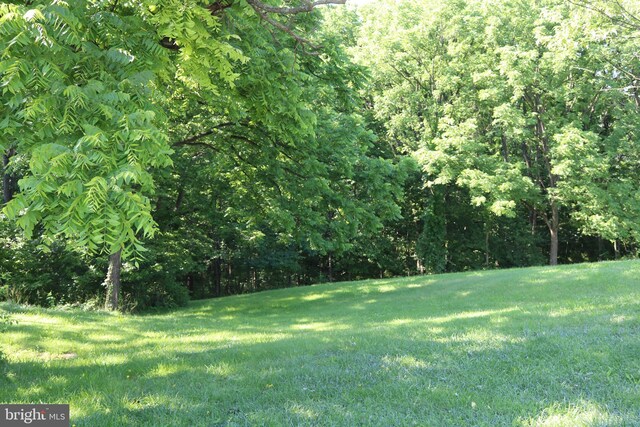 6535 Dumeny Rd, Greencastle, PA 17225 - view of grassy yard featuring a forest view