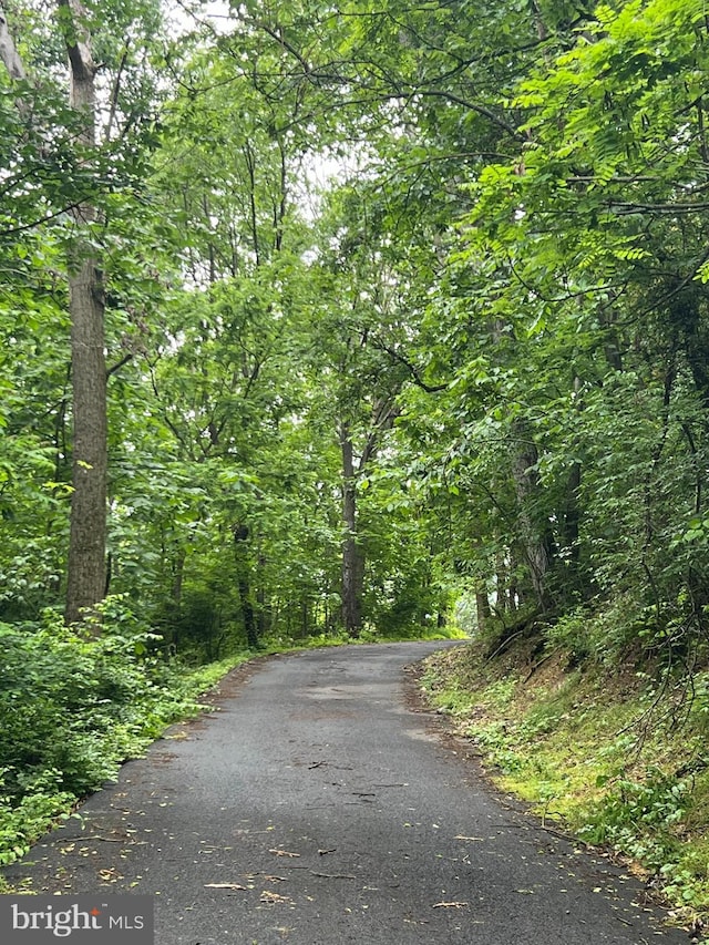 6535 Dumeny Rd, Greencastle, PA 17225 - view of road featuring a forest view