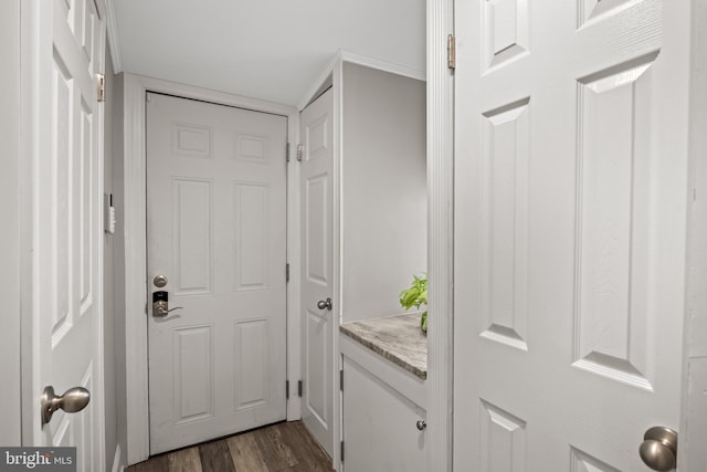 21 Creek Rd, Delran, NJ 08075 - entryway featuring dark wood-style flooring