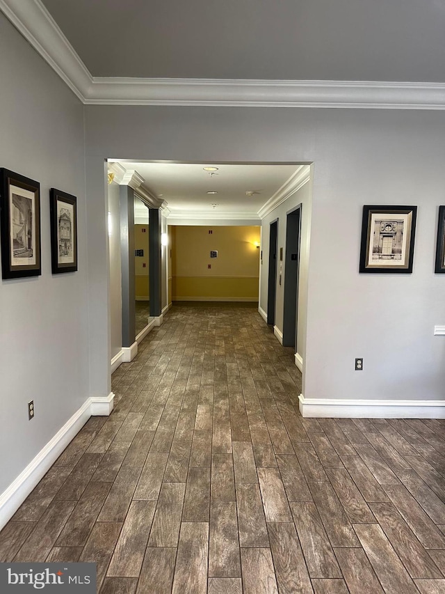 2204 Westcourt Ln Unit 313, Herndon, VA 20170 - hall with crown molding and dark wood-style flooring