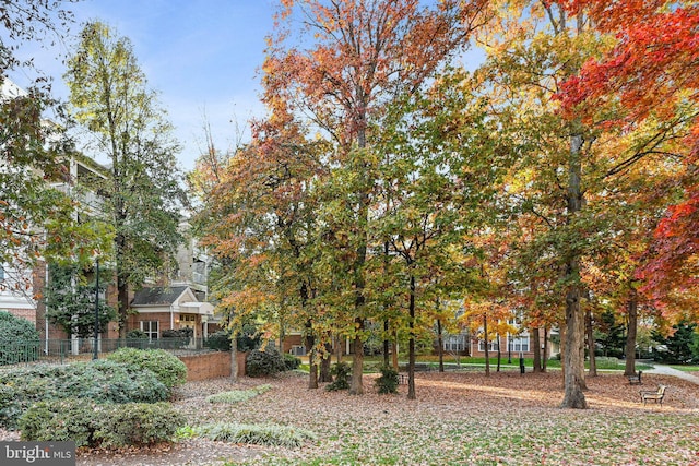 2204 Westcourt Ln Unit 313, Herndon, VA 20170 - surrounding community