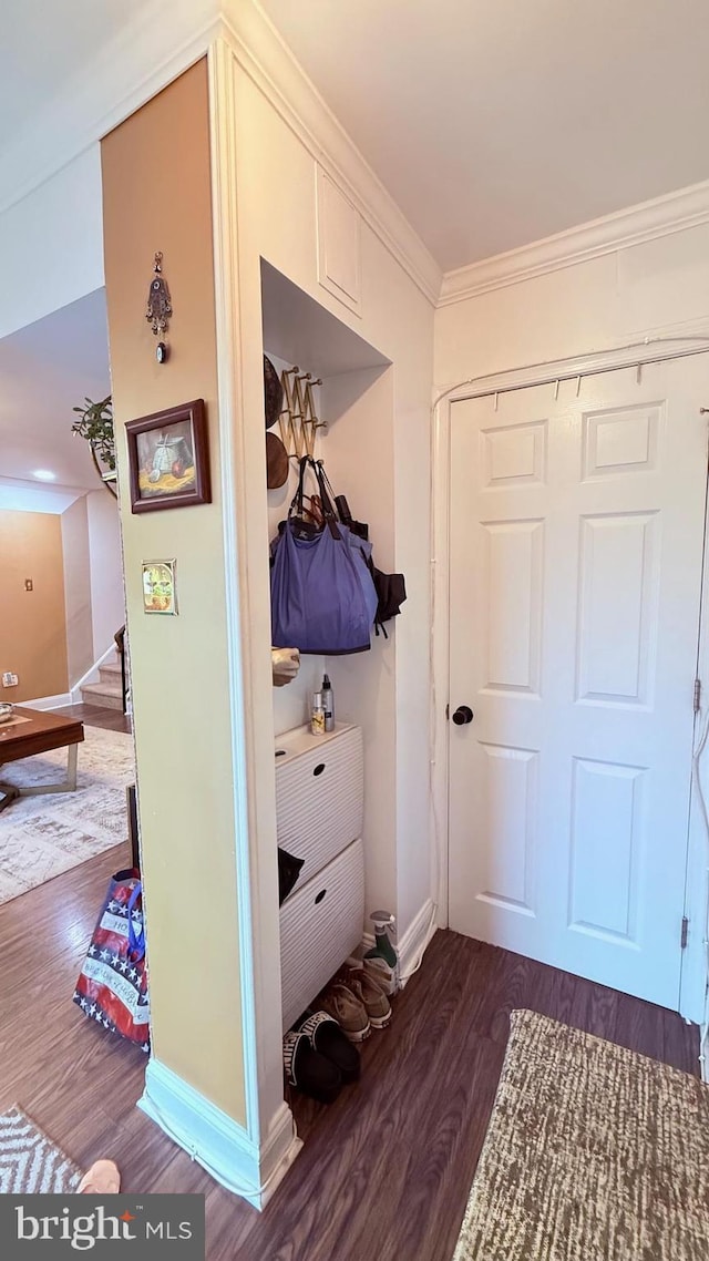 11881 Academy Rd Unit I6, Philadelphia, PA 19154 - view of closet