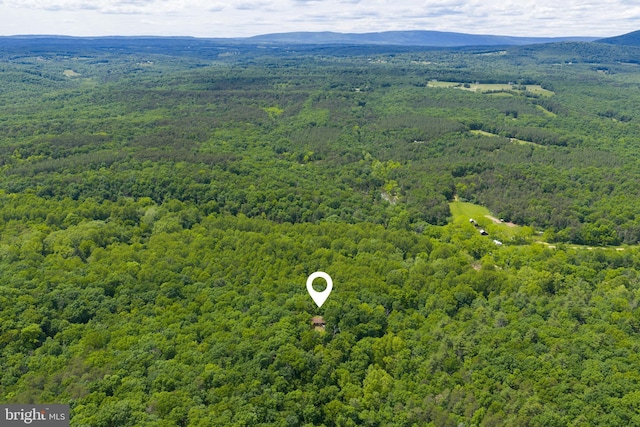 196 Hodges Ln, Winchester, VA 22603