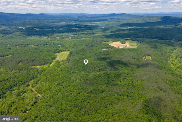 196 Hodges Ln, Winchester, VA 22603