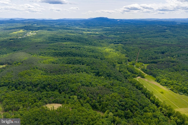 196 Hodges Ln, Winchester, VA 22603