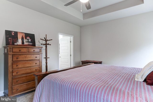 17 Beckleys Cor, Lebanon, PA 17042 - carpeted bedroom featuring a raised ceiling and ceiling fan