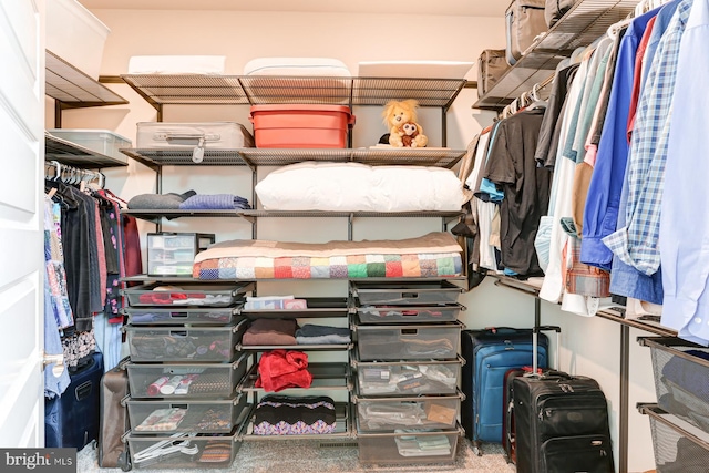17 Beckleys Cor, Lebanon, PA 17042 - spacious closet with carpet