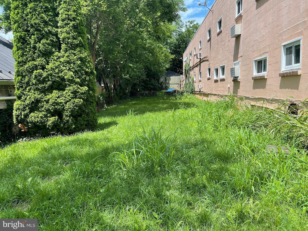 209 S Braddock St, Winchester, VA 22601 - view of yard