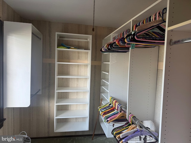 21 Stratton Dr, Hamilton, NJ 08690 - view of walk in closet