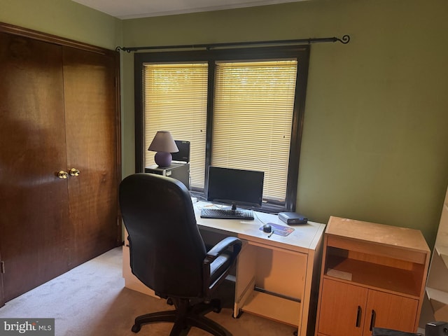 21 Stratton Dr, Hamilton, NJ 08690 - view of carpeted office