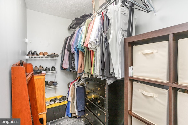 31 Westminster Dr, Front Royal, VA 22630 - walk in closet featuring wood finished floors