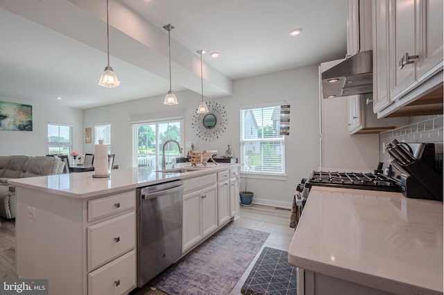 303 Jasper Way, Middletown, DE 19709 - kitchen featuring dishwasher, under cabinet range hood, healthy amount of natural light, light wood-type flooring, and recessed lighting