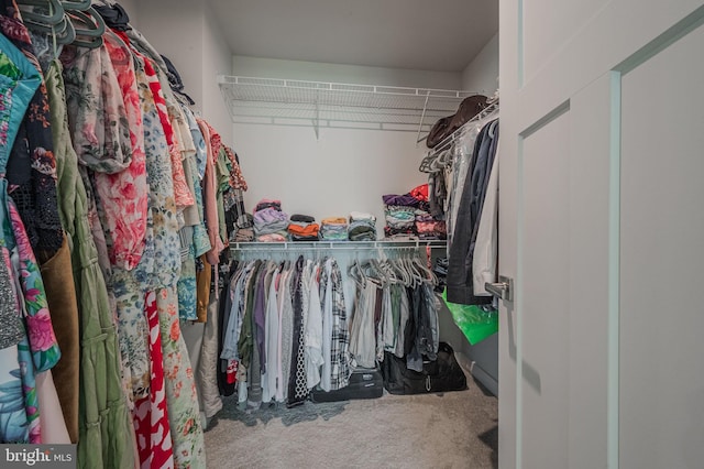 303 Jasper Way, Middletown, DE 19709 - walk in closet featuring carpet flooring