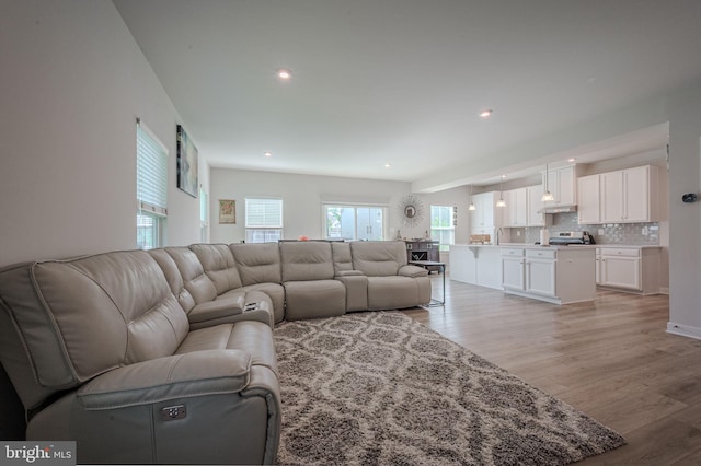 303 Jasper Way, Middletown, DE 19709 - living area featuring light wood-type flooring and recessed lighting