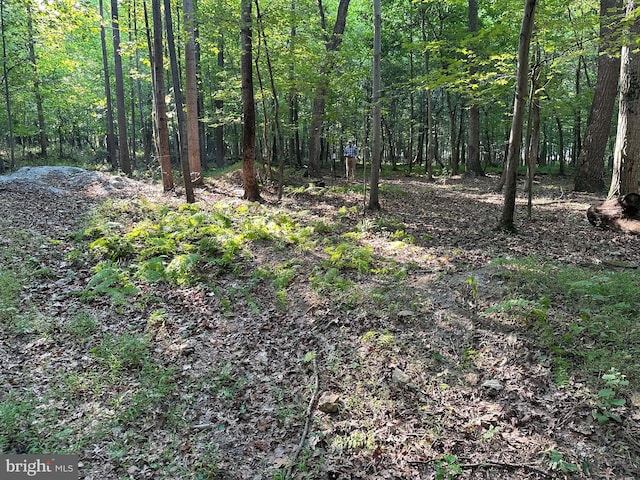 16418 Cedar Grove Rd, Sparks Glencoe, MD 21152