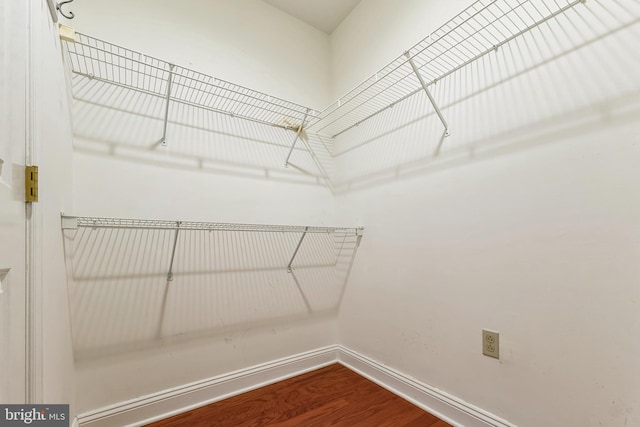 2019 Windrow Dr, Princeton, NJ 08540 - walk in closet with wood finished floors